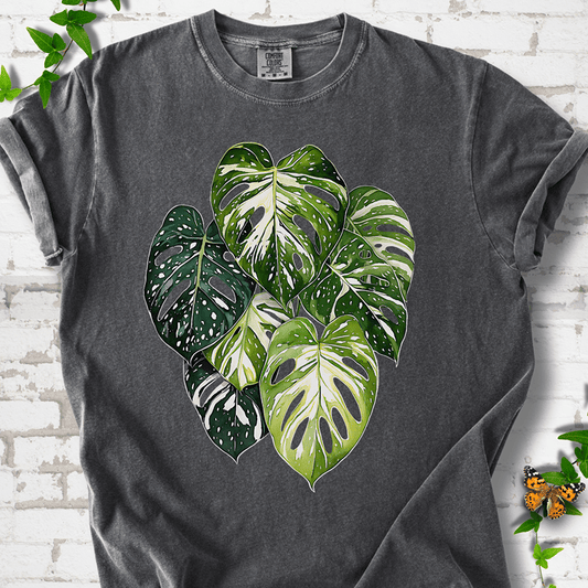 VariegatedMonstera VariegatedMonstera CCMockup Pepper